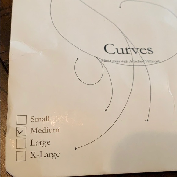 Racing costume, with petticoat - Picture 4 of 4